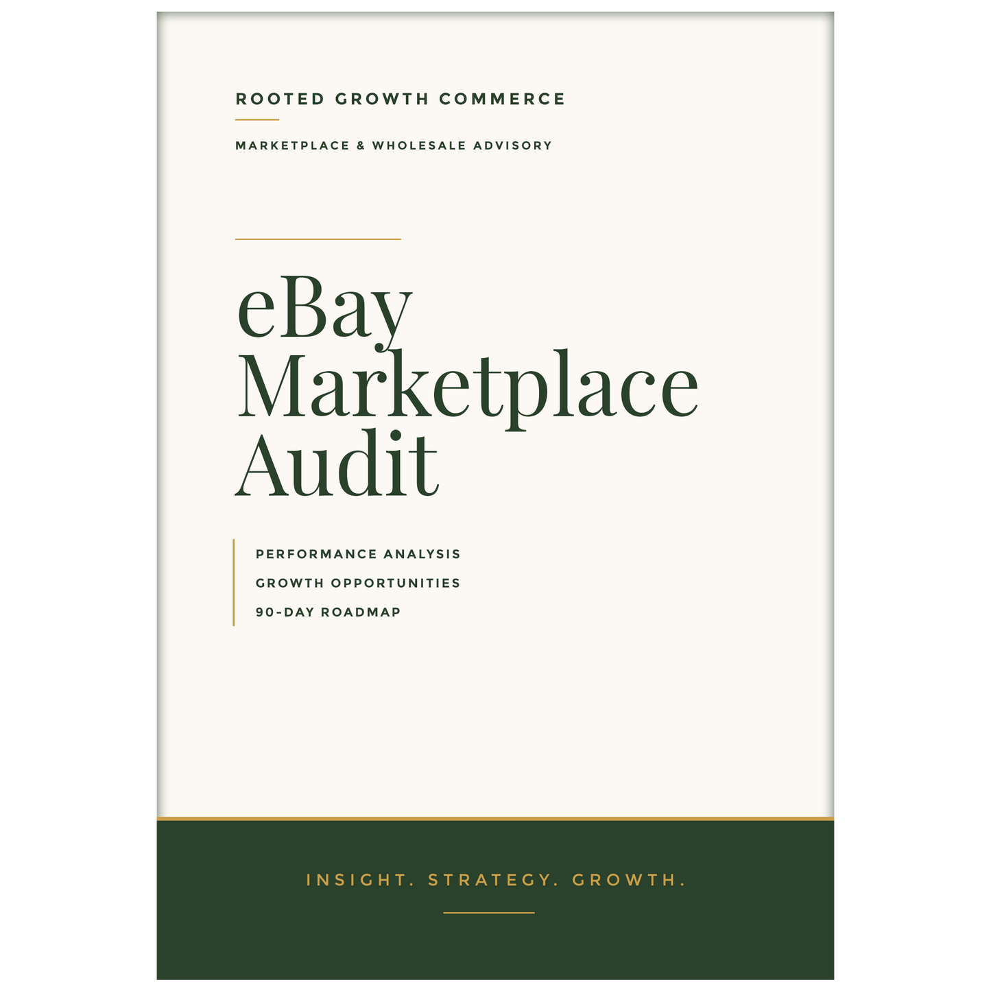 eBay Marketplace Audit