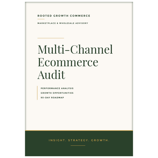 Multi-Channel Ecommerce Audit